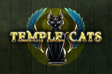Templecats слот ДжойКазино